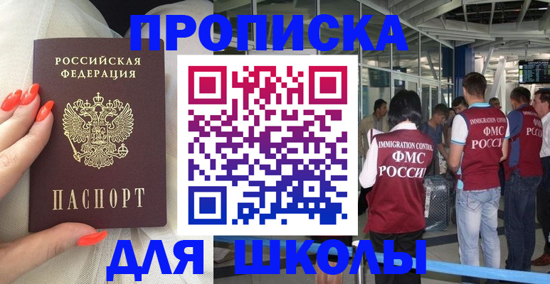 пропишу в квартире в Светлогорске